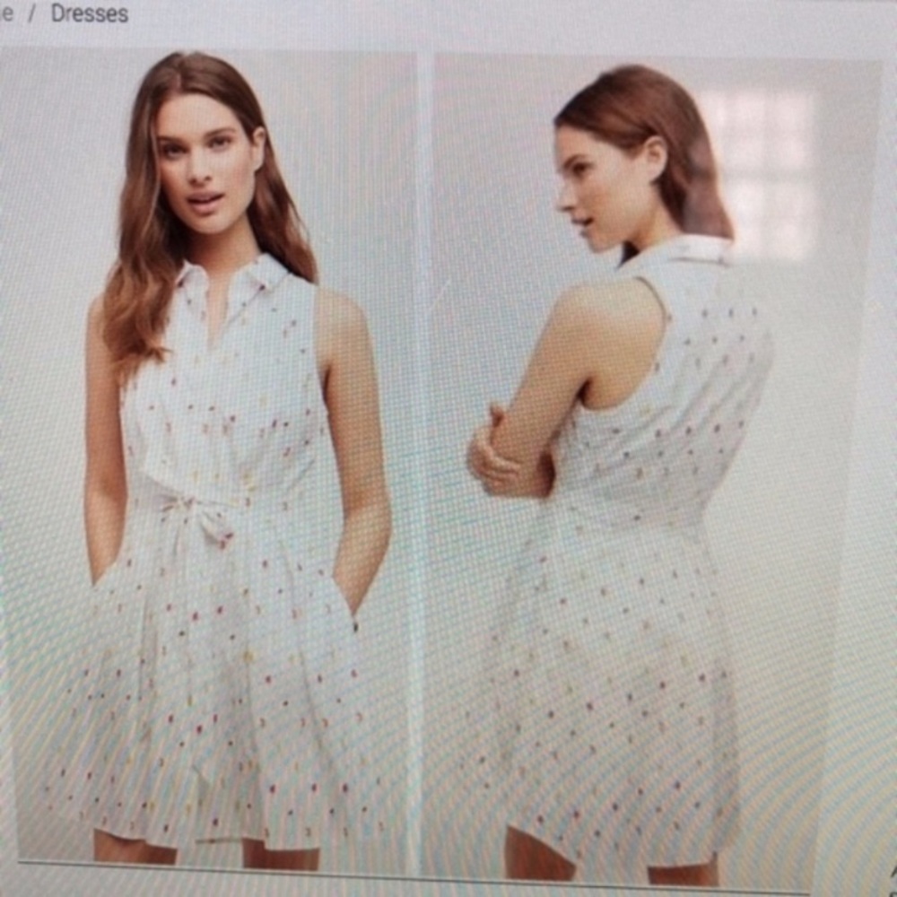 Anthro HD Paris Popsicle Paleta Dress 4
